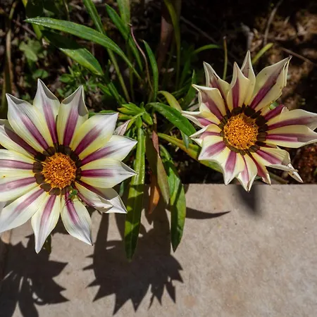 Corfu Travel Stories Villa, Private Pool - Stunning Sea Views - Accessible - 4 Bedrooms Вилла *